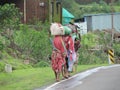 Rural India scene - village life - women and children walking with luggage on their heads Royalty Free Stock Photo